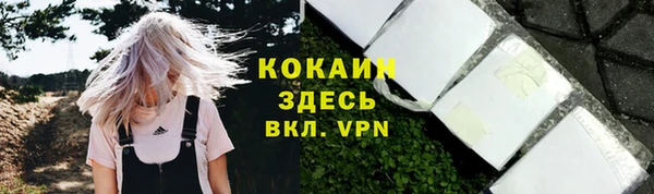 гидропоника Новозыбков