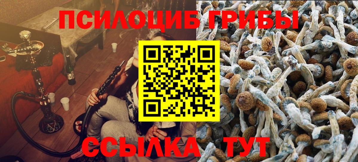 Псилоцибиновые грибы мухоморы Зима