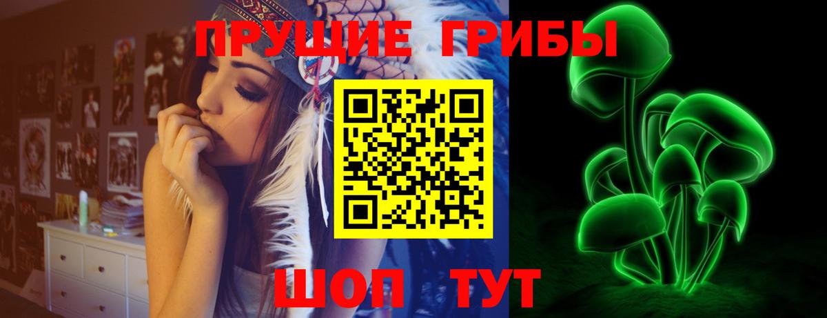 Псилоцибиновые грибы мухоморы  купить   Зима  Псилоцибиновые грибы прущие грибы  Вход с VPN 